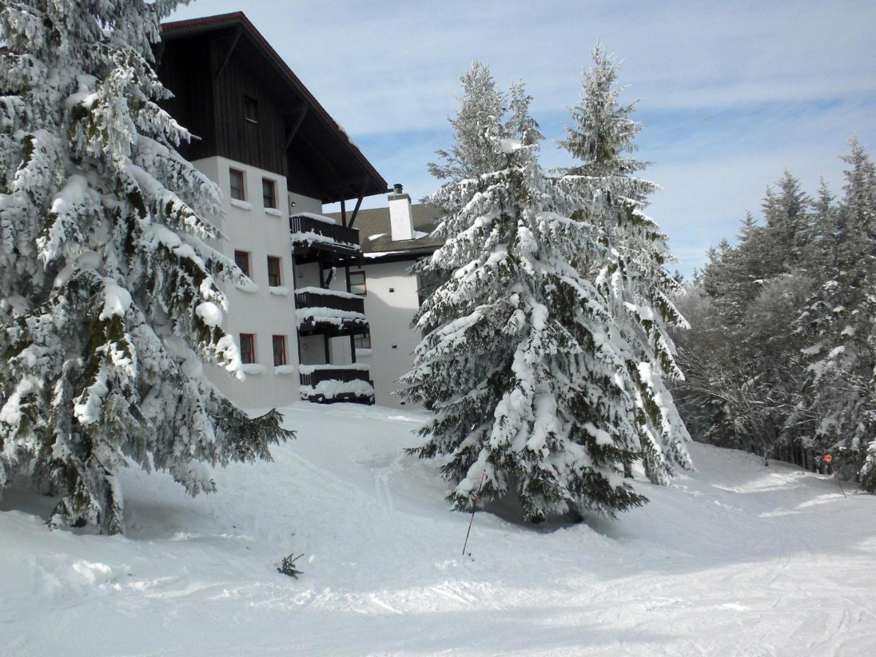 Villa Whistlepunk 32 Snowshoe Exterior foto